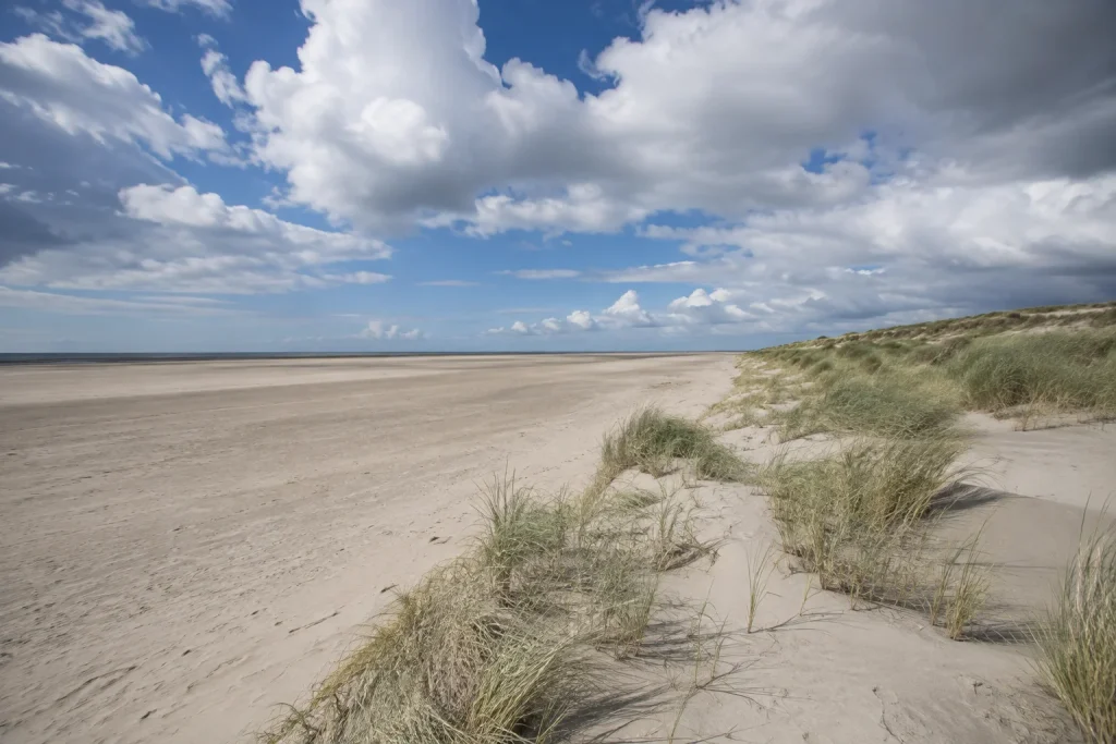 vadehavsø sandstrand - danske øer krydsord løsning 4 bogstaver